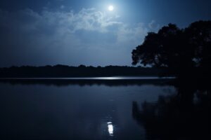 A full moon illuminating a nearby lake