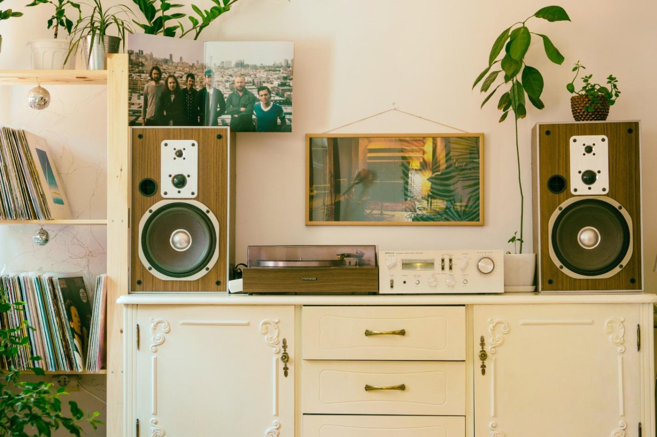 A decorative cabinet with a record player and speakers surrounded by plants and record shelf