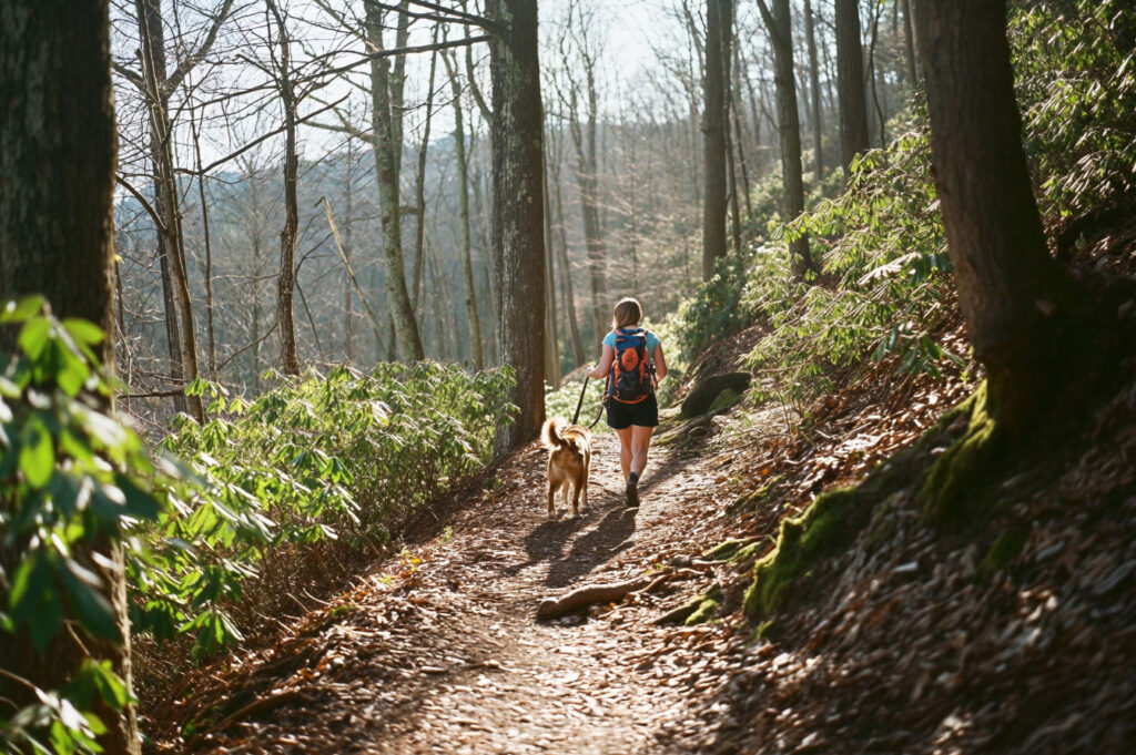 Woman on a Hike with Her Dog