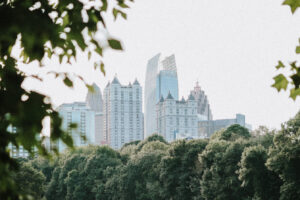 View of The Atlanta Skyline through Trees
