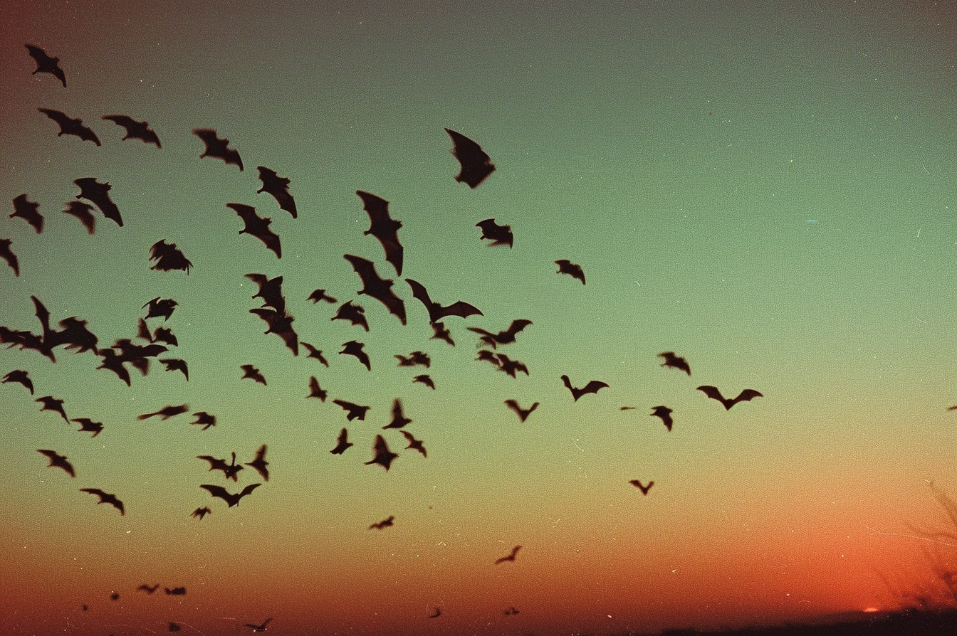 Group of bats flying in the nighttime sky